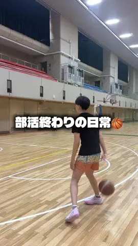 さいとうれんのTikTok投稿
