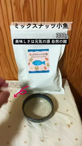 すずめのTikTok投稿