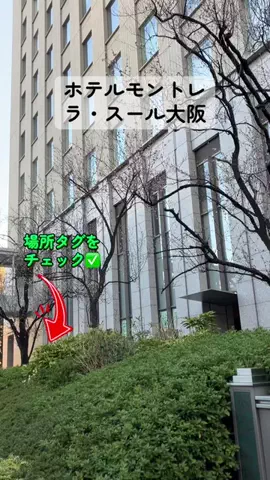 すずめのTikTok投稿