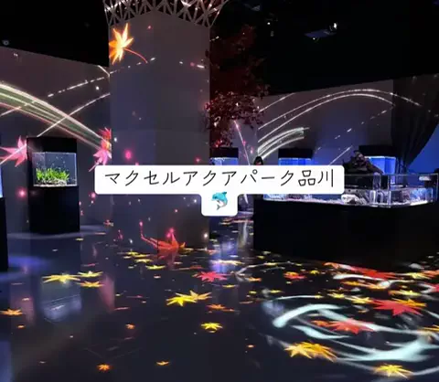 ホカンス日記 🌿のTikTok PR投稿：光と音の演出が幻想的すぎる😊 まるでショーを見ている…