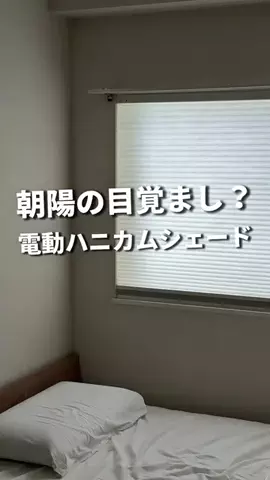 トキ｜北欧風な部屋暮らしのTikTok投稿