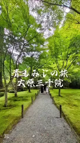京都コンシェル❀めぐみ❀のTikTok投稿
