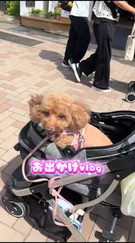 Aoyama hikariのTikTok投稿