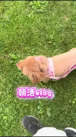 Aoyama hikariのTikTok投稿