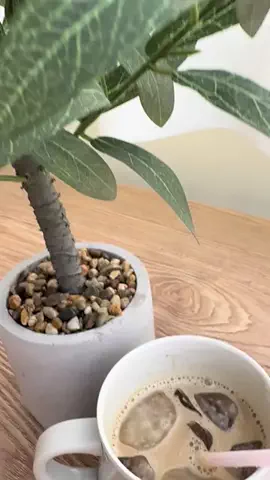 のち👶一条住みの母のTikTok投稿