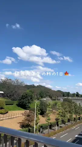 みゅー(myu)のTikTok投稿