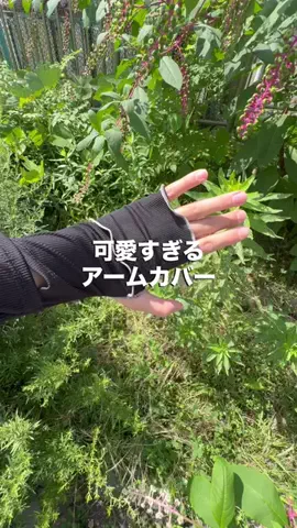 のち👶一条住みの母のTikTok投稿