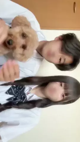 たんのTikTok投稿