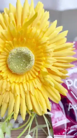 のち👶一条住みの母のTikTok投稿