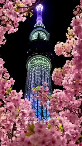 一颯<issa>のTikTok投稿