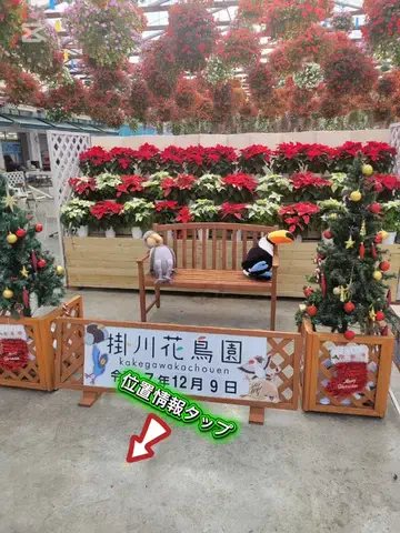 m.kazuttのTikTok投稿