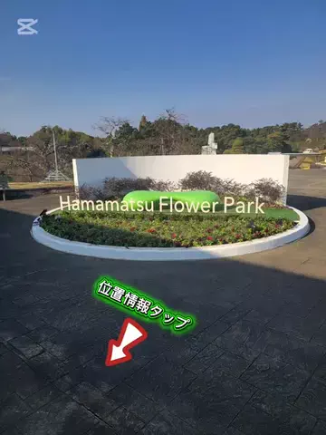 m.kazuttのTikTok投稿