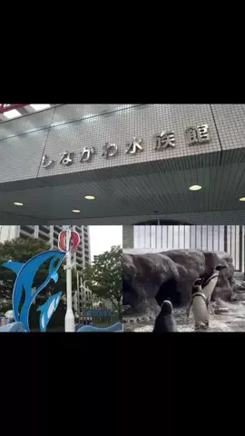 一颯<issa>のTikTok投稿