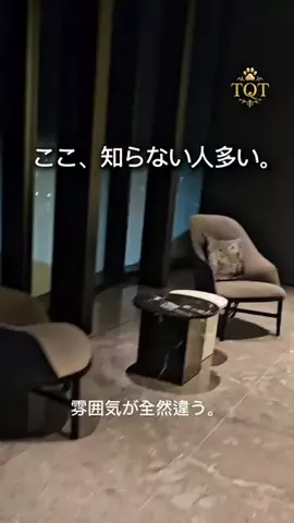 東京クイーン [tokyoqueen]のTikTok投稿