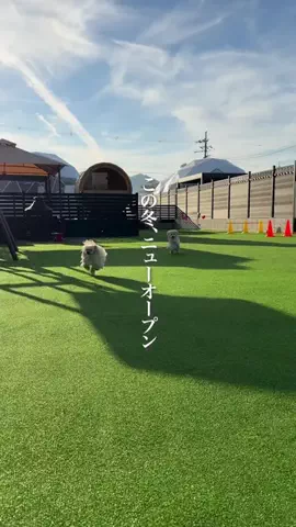 wannavi_mediaのTikTok投稿