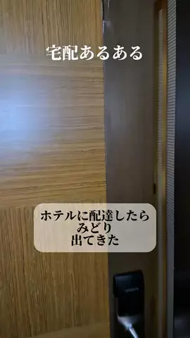 みどりのTikTok投稿