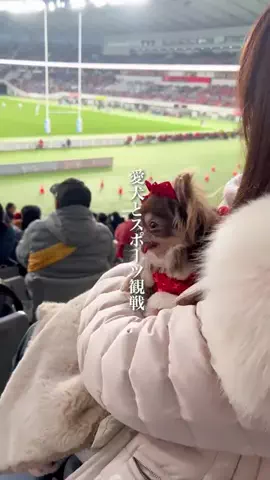 wannavi_mediaのTikTok投稿