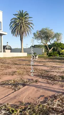 wannavi_mediaのTikTok投稿