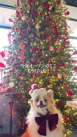 wannavi_mediaのTikTok投稿