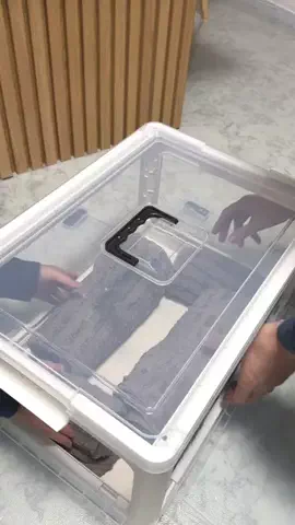 あれんのTikTok投稿