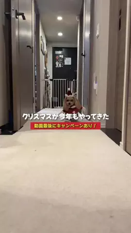 wannavi_mediaのTikTok投稿