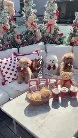 wannavi_mediaのTikTok投稿