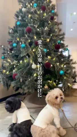wannavi_mediaのTikTok投稿