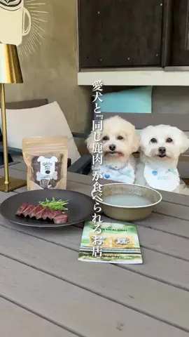 wannavi_mediaのTikTok投稿