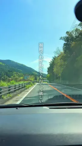わた｜福岡グルメ【ランチ・カフェ】のTikTok投稿