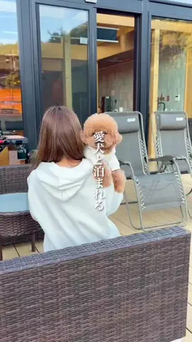 wannavi_mediaのTikTok投稿
