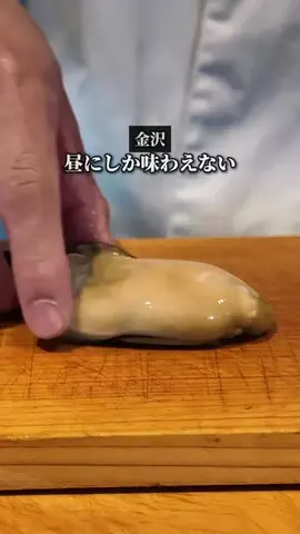 yohaku_ishikawaのTikTok投稿