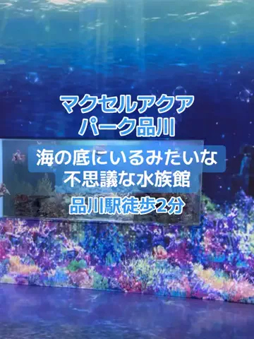 🌺なみひらりさ✈️🗺️｜絶景ホテル×コスパ旅のTikTok投稿