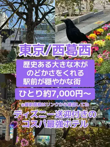 🌺なみひらりさ✈️🗺️｜絶景ホテル×コスパ旅のTikTok投稿