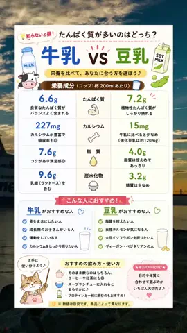 jitan_gohanのTikTok投稿