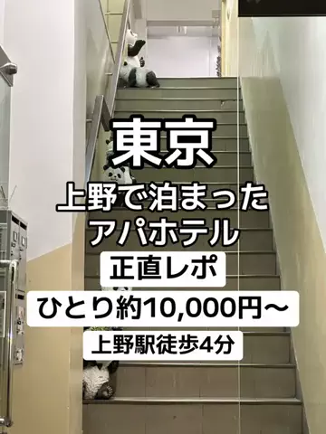 🌺なみひらりさ✈️🗺️｜絶景ホテル×コスパ旅のTikTok投稿