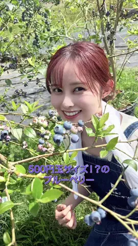 村山千夏のTikTok投稿