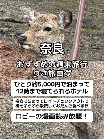 🌺なみひらりさ✈️🗺️｜絶景ホテル×コスパ旅のTikTok投稿