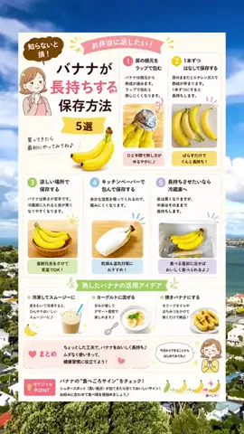 jitan_gohanのTikTok投稿