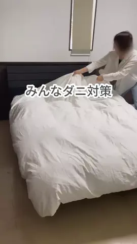 あいな⌇ずぼらママの推しアイテム.･ﾟのTikTok投稿