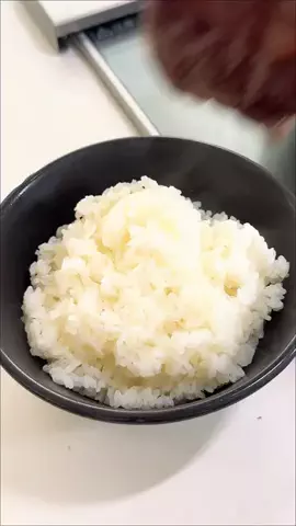 こあらのTikTok投稿
