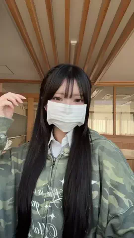 ティラミスのTikTok投稿