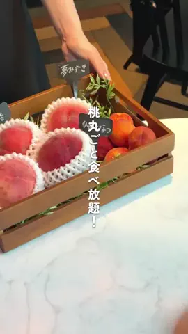 オズモール編集部⌇東京グルメ🎀のTikTok投稿