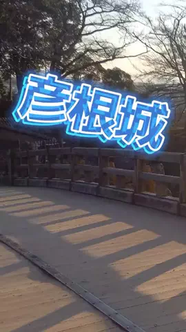 ArtemisのTikTok投稿