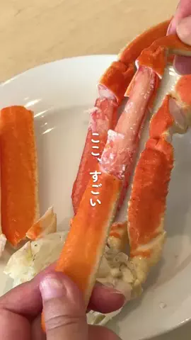 オズモール編集部⌇東京グルメ🎀のTikTok投稿