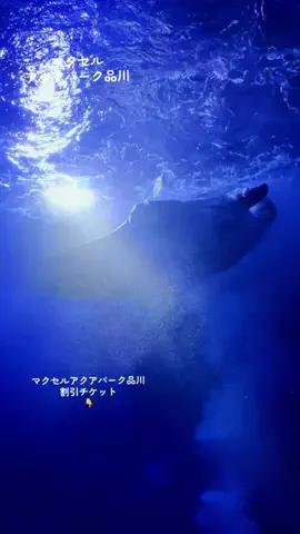 Japan Tourism | 泊まりたくなるホテルのTikTok投稿