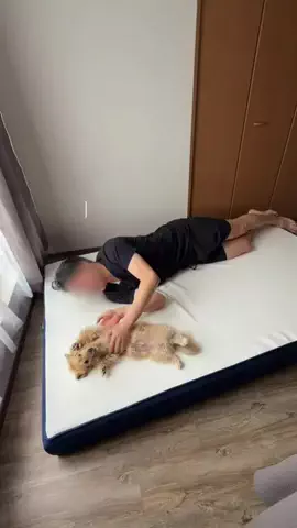 あむ🐶のTikTok投稿