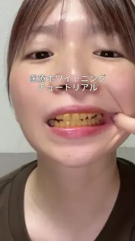 ビザちゃんのTikTok投稿