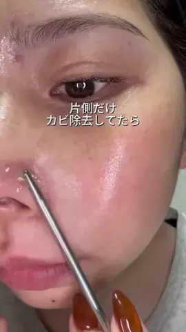 ビザちゃんのTikTok投稿
