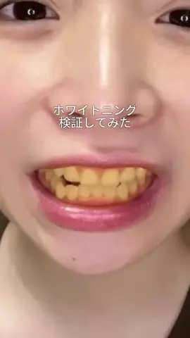 ビザちゃんのTikTok投稿
