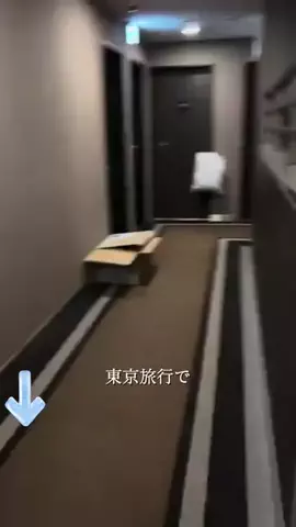 こっちゃんのTikTok投稿